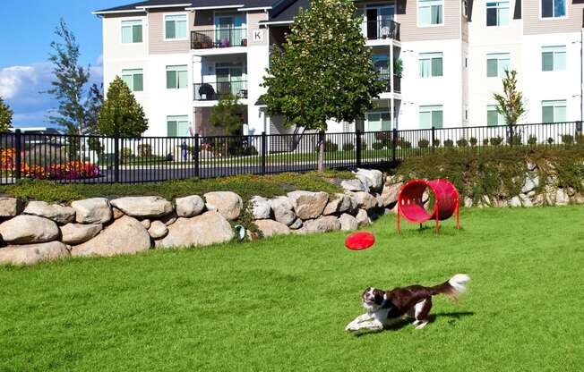 River House Apartments Dog Park