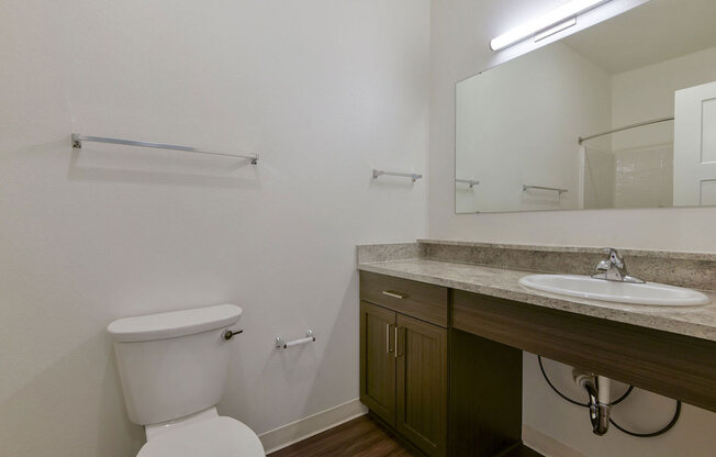 Functional Master Bathroom with Lots of Counter Space at Chase Creek Apartment Homes, Huntsville, AL, 35811