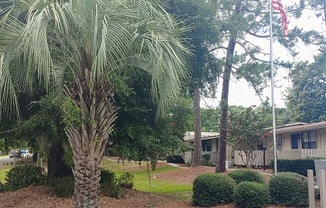 Welcome to Link Terrace