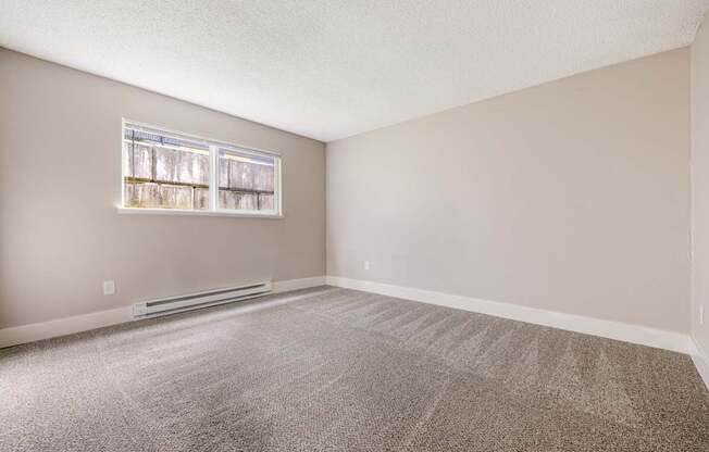 A room with a carpeted floor and a window.