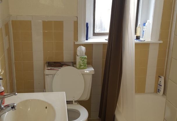 1 bed, 1 bath, 620 sqft, $1,195, Unit 202