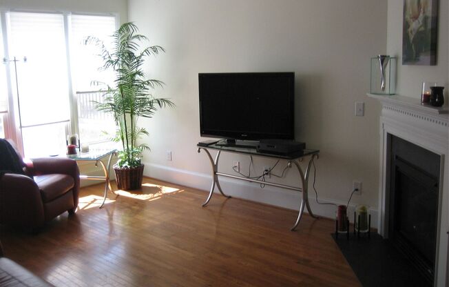 118 Finsbury in popular Davis Park