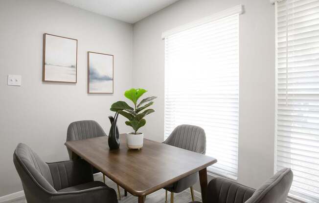A table with chairs and a potted plant in a room with white walls.