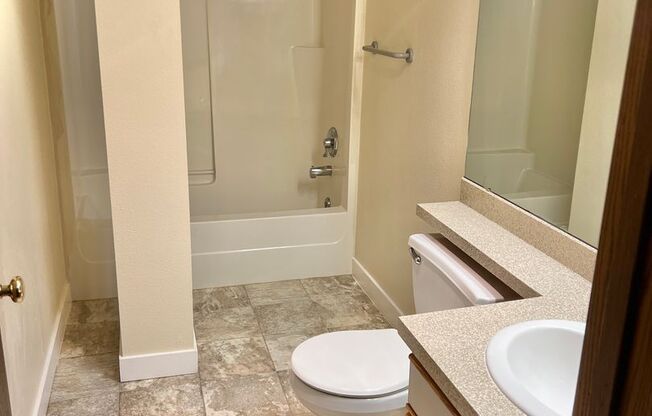 Studio, 1 bath, 393 sqft, $1,295, Unit 318