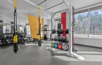 A gym with a variety of equipment including a pull up bar, kettlebells, and dumbbells.