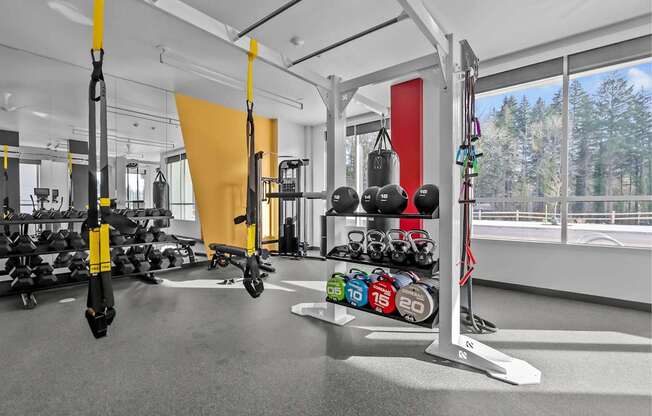 A gym with a variety of equipment including a pull up bar, kettlebells, and dumbbells.