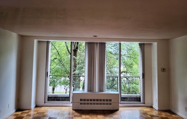 1 bed, 1 bath, 500 sqft, $2,550, Unit 309