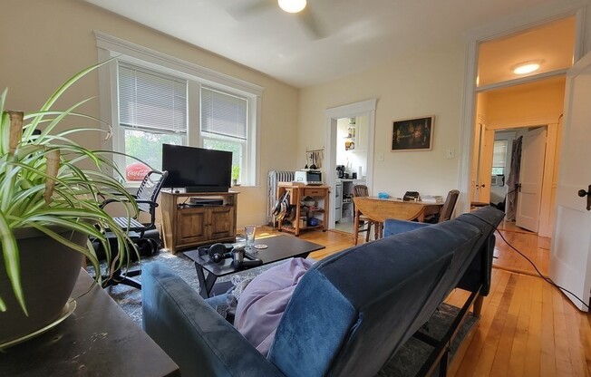 164 Strathmore