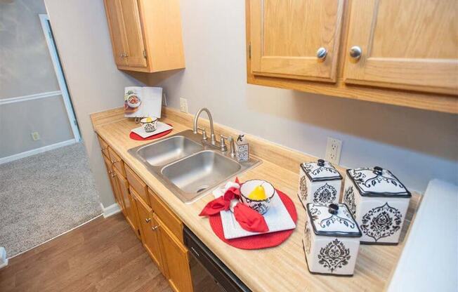 Counter and Cabinet Space in Kitchen