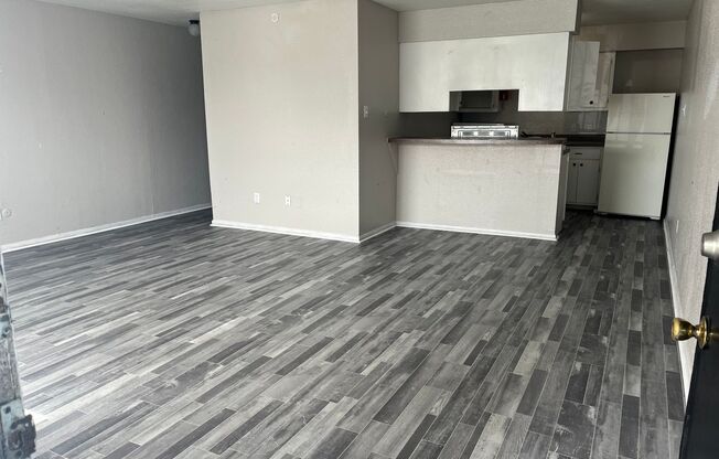 Studio, 1 bath, 610 sqft, $695, Unit A2