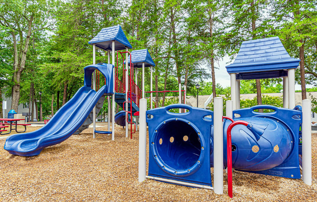 Dominium-Fulton Pointe-Playground