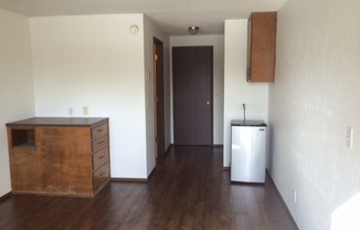 Studio, 1 bath, 300 sqft, $750, Unit 24