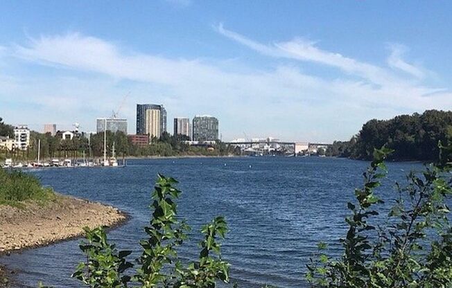 Studio, 1 bath, 456 sqft, $1,295, Unit 1105