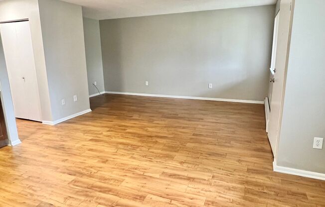 $1595 OFF MOVE COSTS!! GIANT+GORGEOUS 2 Bed 2 Bath Apartment in Lakewood!