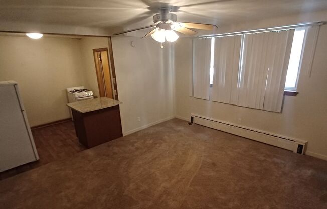 Studio, 1 bath, 325 sqft, $840