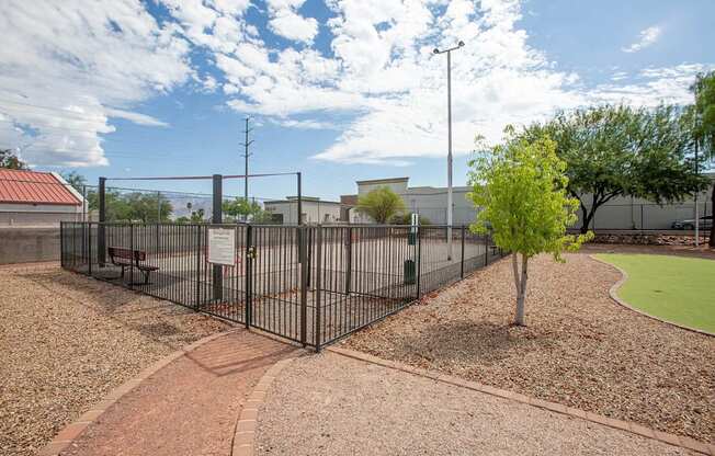 a fenced in area with a tennis court and a tree