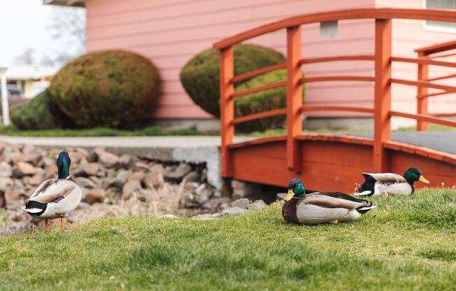 2 beds, 1 bath, 850 sqft, $1,300, Unit 47