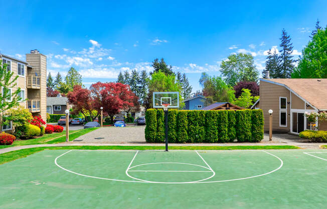 A basketball court is surrounded by trees and houses.