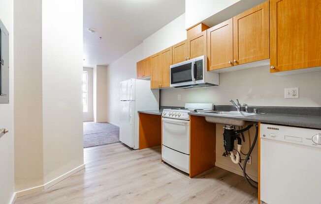 Studio, 1 bath, 505 sqft, $949, Unit 310