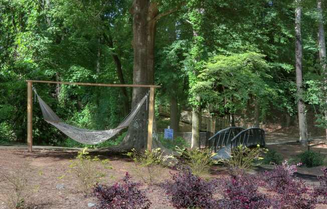 hammock along walking trail