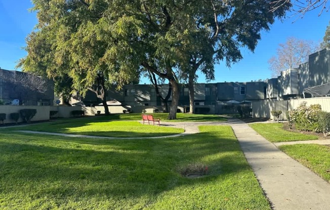 A park with a bench and a tree in the foreground.