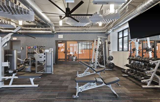 Fitness Center at The Palmer, Minneapolis