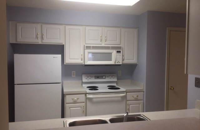 1 bed, 1 bath, $1,550