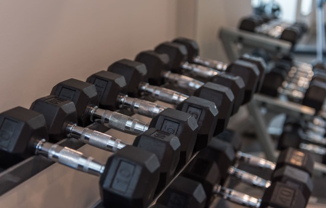 a row of dumbbells in a gym at The Whitworth, Williamsburg, Virginia