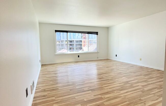 Studio, 1 bath, 464 sqft, $1,295