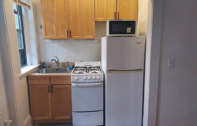 Studio, 1 bath, 260 sqft, $1,995, Unit 09