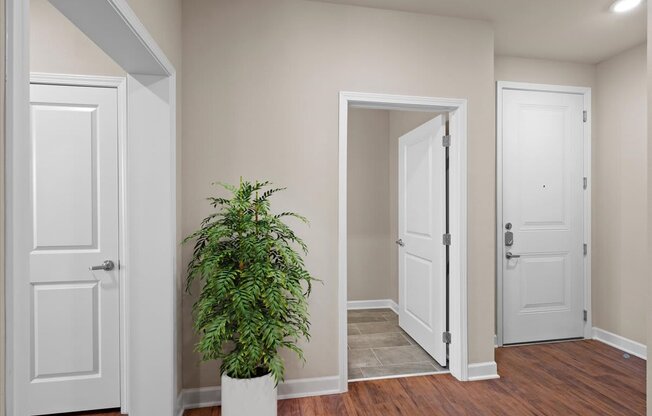 a room with two doors and a plant in the corner