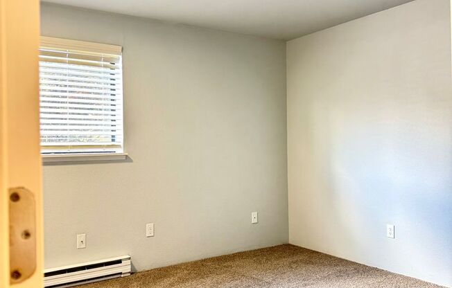 1 bed, 1 bath, 780 sqft, $1,850, Unit P101- Renovated