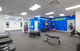 the gym is fully equipped with free weights and cardio equipment