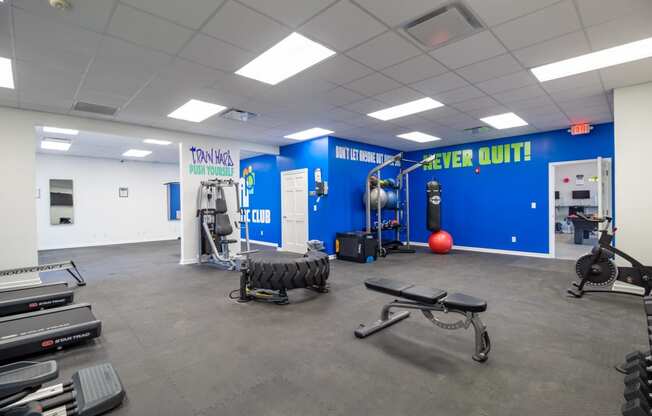 the gym is fully equipped with free weights and cardio equipment