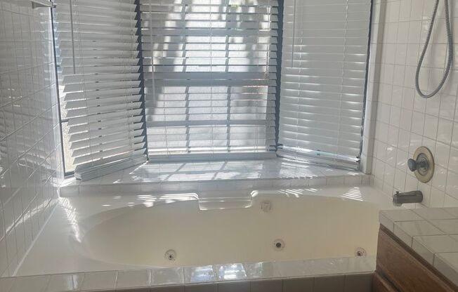 Very Nice Downstairs Unit