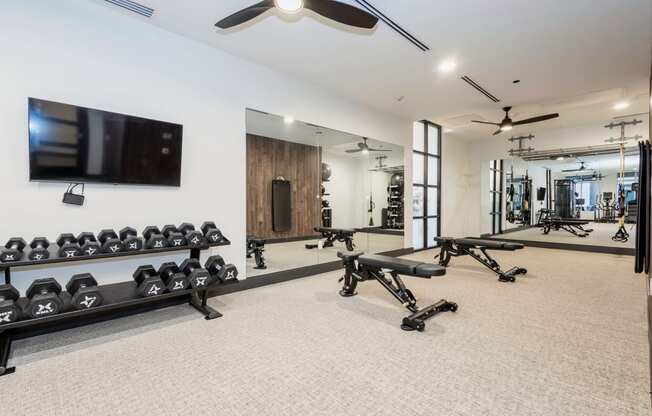 Well-equipped fitness center with free weights, mirrors walls, and a tv at Sylvan Uptown, Denver, CO