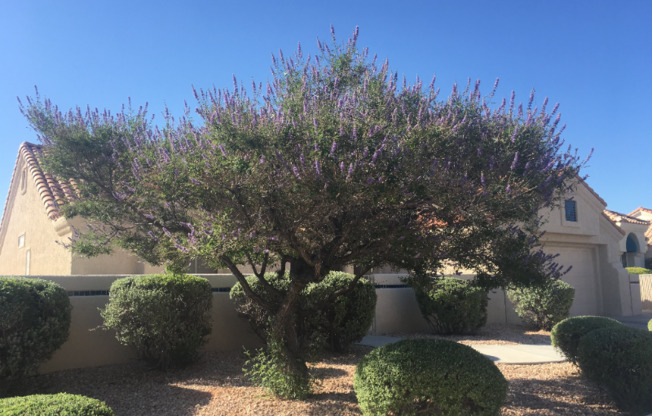 3032 HIDDEN TREASURE DR