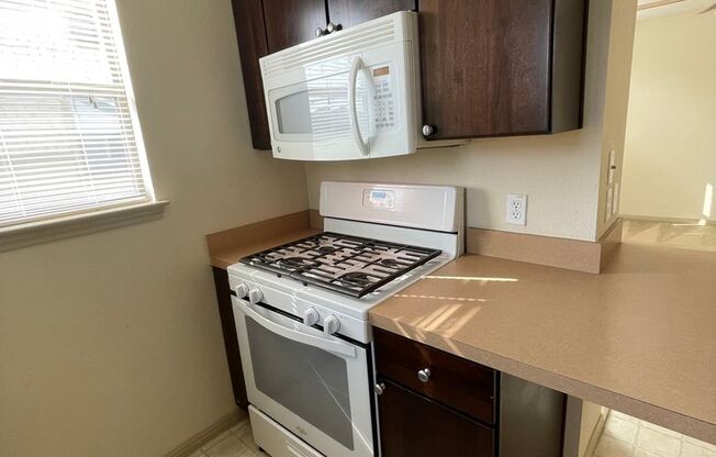 1 bed, 1 bath, $1,425