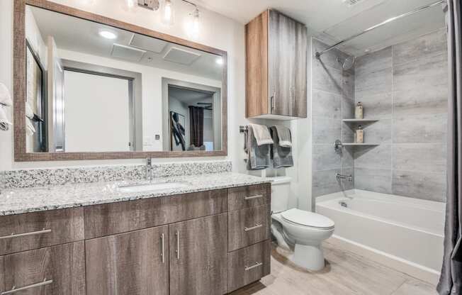A bathroom with a white toilet and a large mirror.