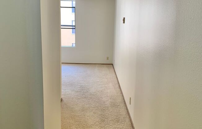 Studio, 1 bath, 460 sqft, $1,295, Unit 305