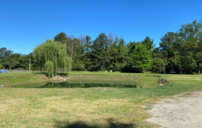 FOR RENT - Love the country? Love to hunt? If so, this one is for you!