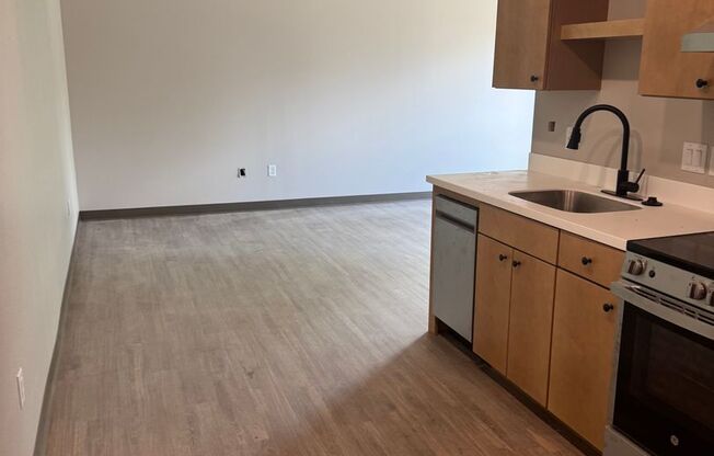 Studio, 1 bath, 458 sqft, $1,225, Unit 103