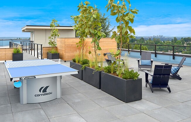 Studio, 1 bath, 278 sqft, $1,050, Unit 204