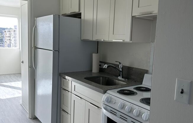 1 bed, 1 bath, $1,800