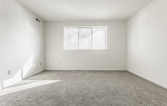 an empty room with carpet and a window