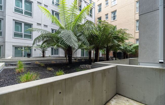 Studio, 1 bath, $1,995, Unit #205