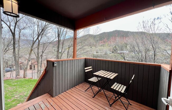 Condo on the River in Glenwood Springs for RENT