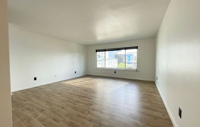 Studio, 1 bath, 464 sqft, $1,395, Unit 404