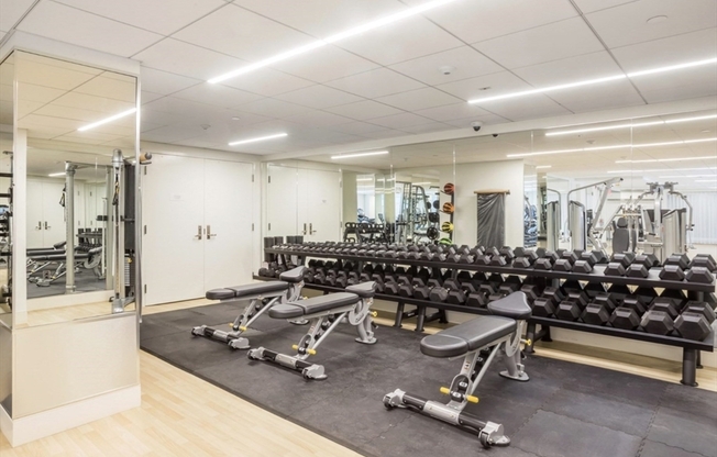 1 bed, 1 bath, 735 sqft, $2,950, Unit 9S