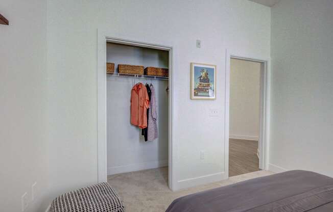 Large Closet View at The Lincoln Apartments, Raleigh, NC, 27601